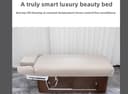 Electric Heating Massage Bed Curve Design with 2 Motor Adjustment – PU Leather Spa Table, Integrated Heating, Storage & USB, 195x83cm, 300kg Capacity-2
