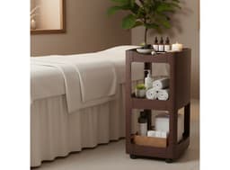 Wooden 3-Tier Spa & Salon Trolley -1