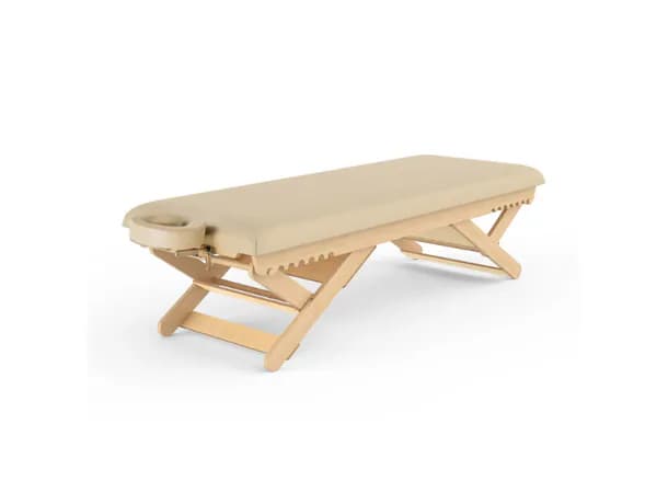 BoastVibe™ VibroAcoustic Massage Table