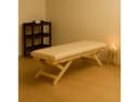 BoastVibe™ VibroAcoustic Massage Table-1