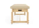 EssenceVibe™ VibroAcoustic Massage Bed-2