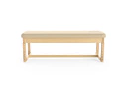 EssenceVibe™ VibroAcoustic Massage Bed-4